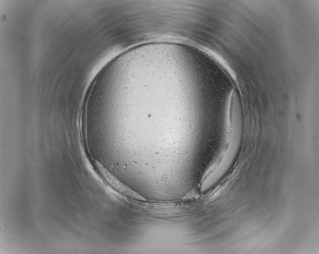 X0000058121007200510171305