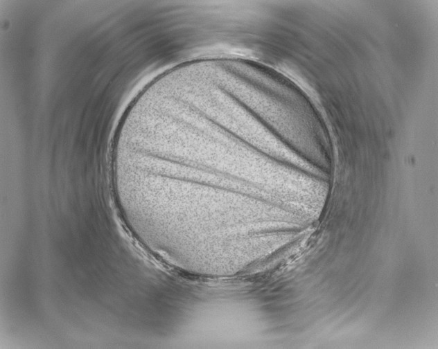 X0000058121008200510171305