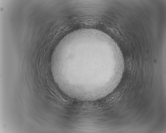 X0000058121009200510171304