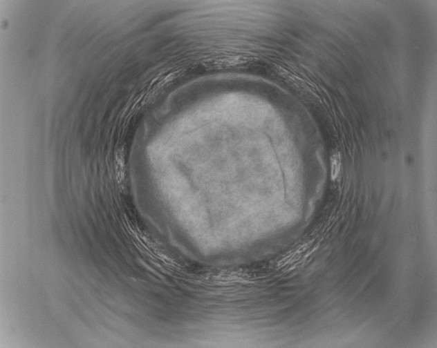 X0000058121011200510171304