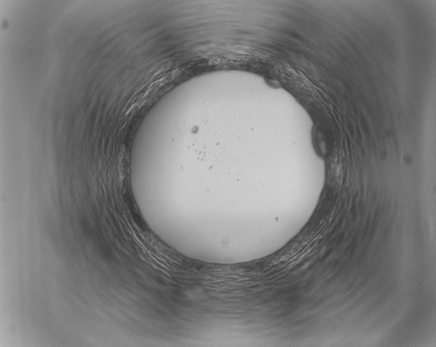 X0000058121012200510171304