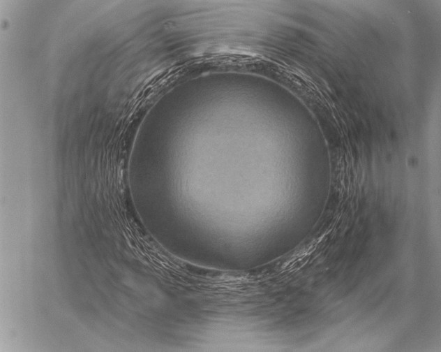 X0000058121013200510171304