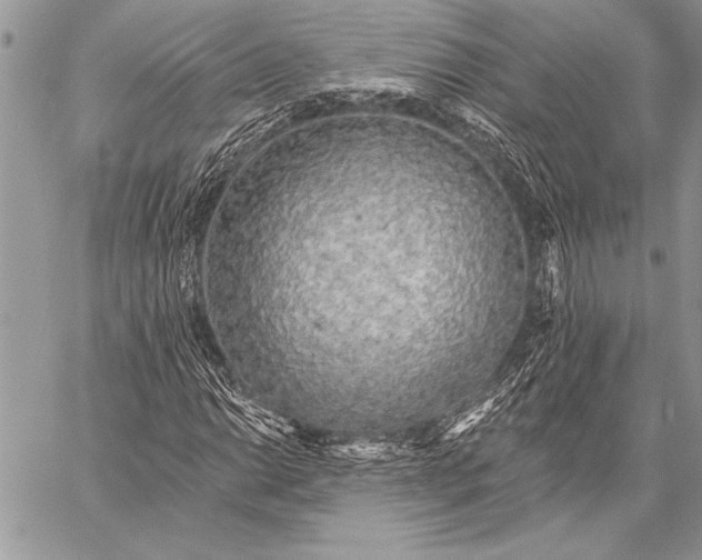 X0000058121014200510171304