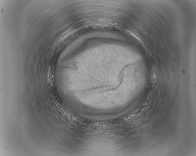 X0000058121015200510171304