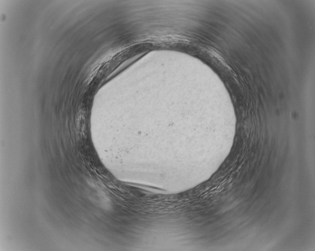 X0000058121016200510171304