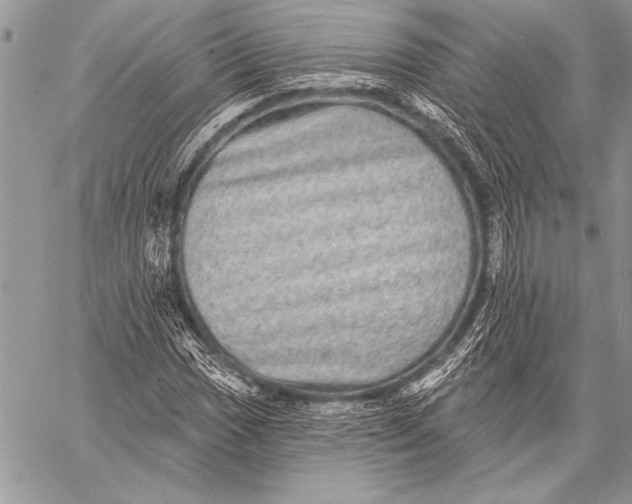 X0000058121017200510171304