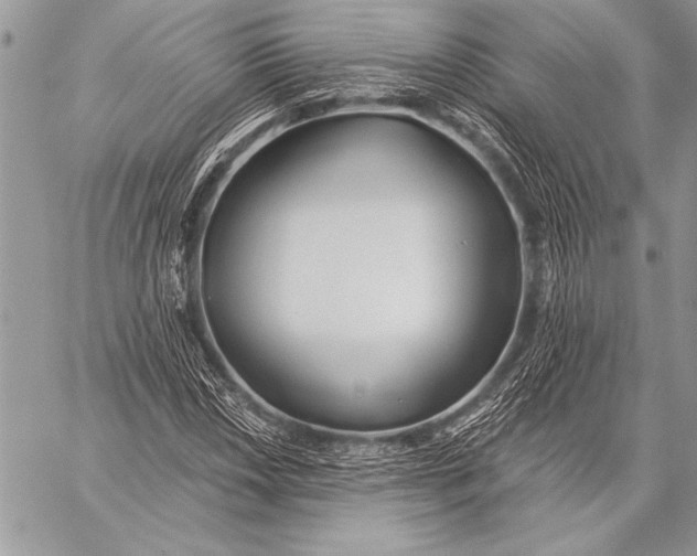 X0000058121018200510171304