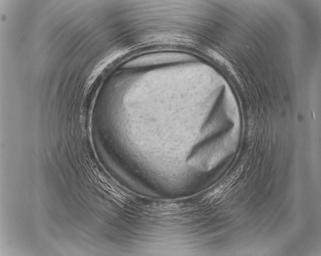 X0000058121019200510171304