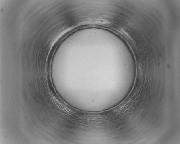 X0000058121020200510171305