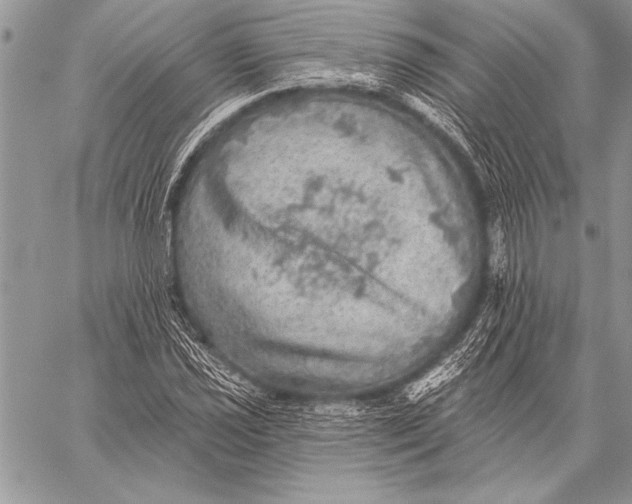 X0000058121021200510171305