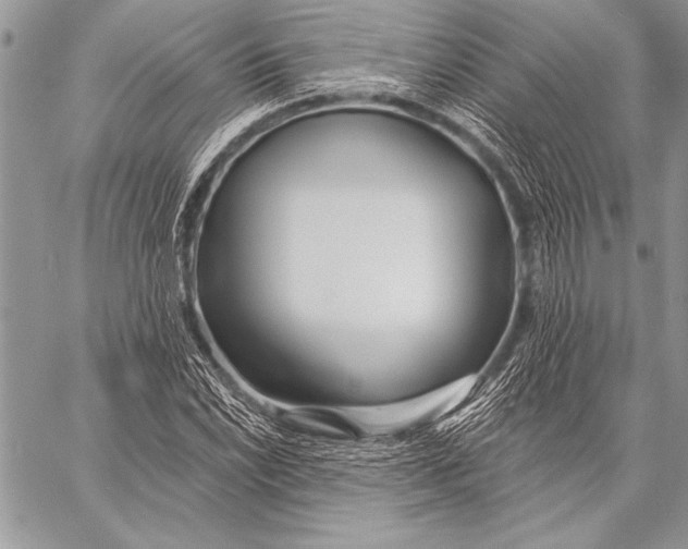 X0000058121022200510171305