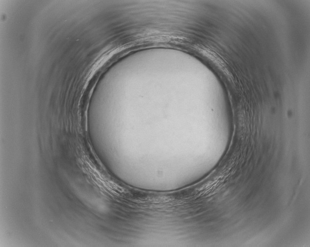 X0000058121023200510171305