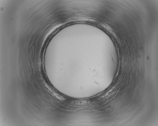 X0000058121024200510171305