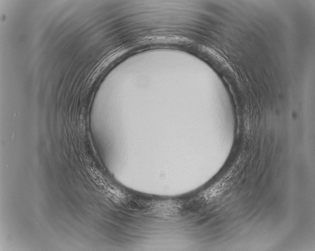 X0000058121025200510171305