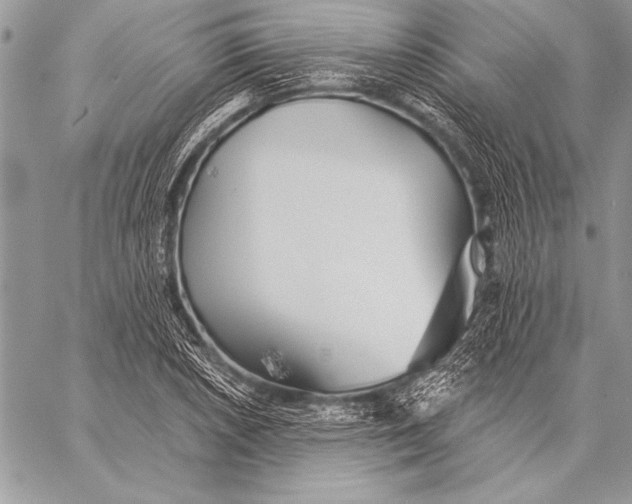 X0000058121026200510171305