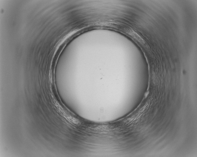 X0000058121028200510171305