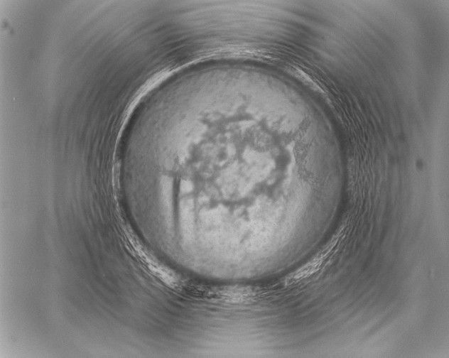 X0000058121029200510171305