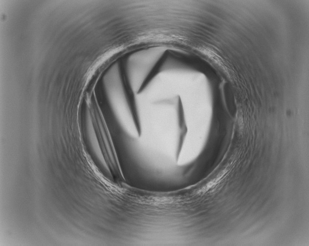 X0000058121030200510171305