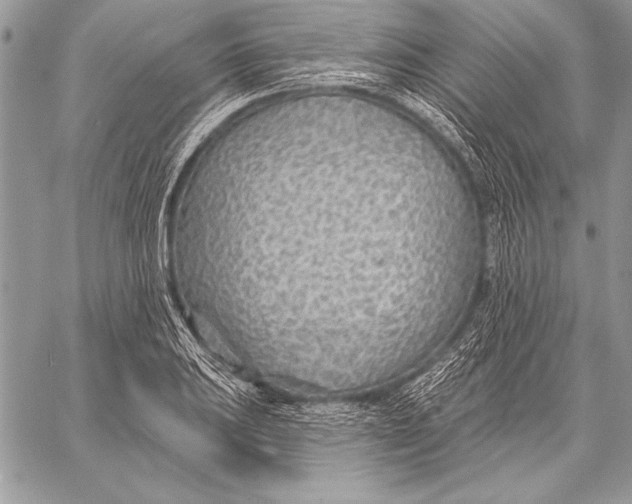 X0000058121031200510171305