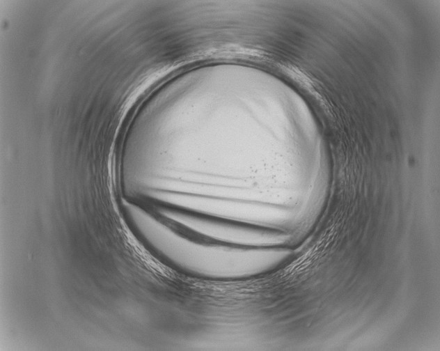 X0000058121032200510171305