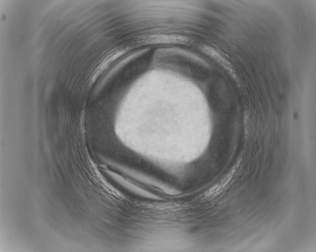 X0000058121033200510171305