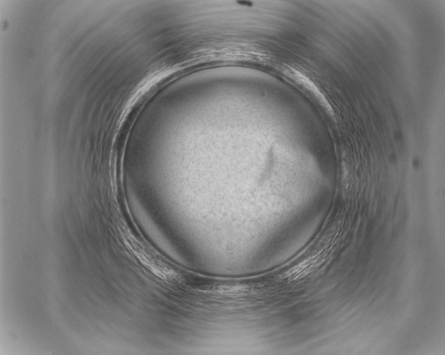 X0000058121035200510171305