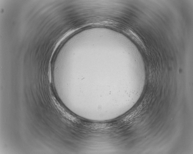 X0000058121036200510171305