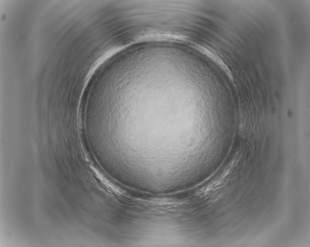 X0000058121037200510171305