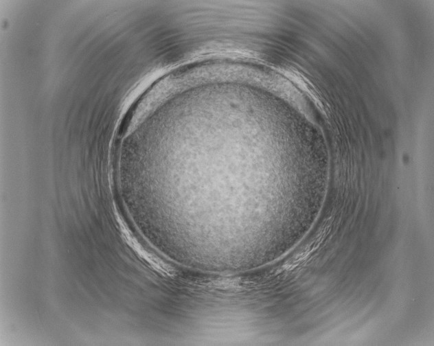 X0000058121038200510171305