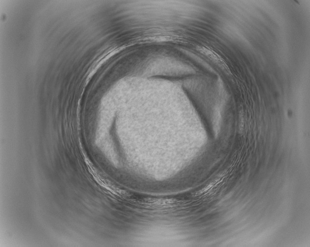 X0000058121039200510171305