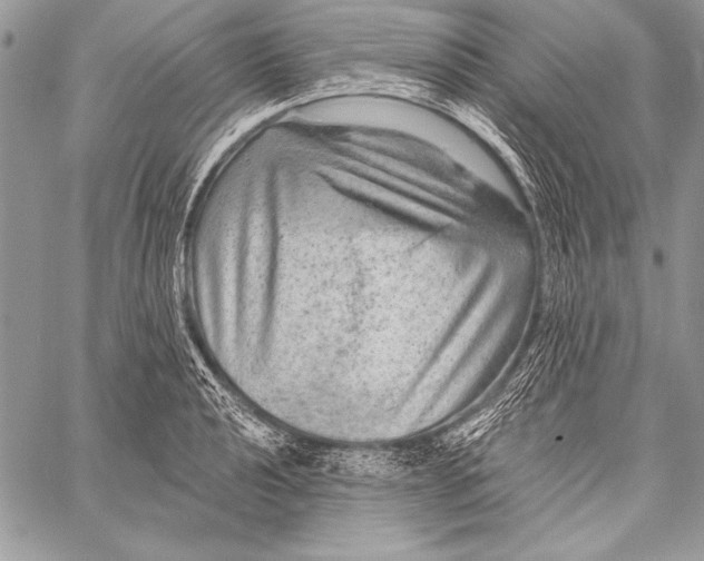 X0000058121040200510171305