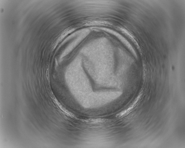 X0000058121041200510171305