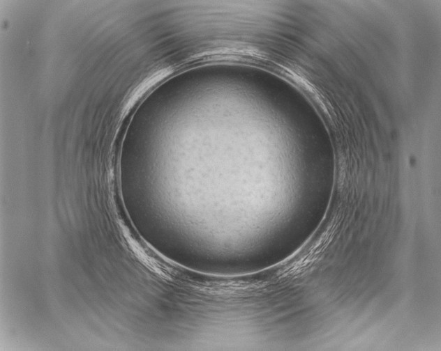 X0000058121042200510171305