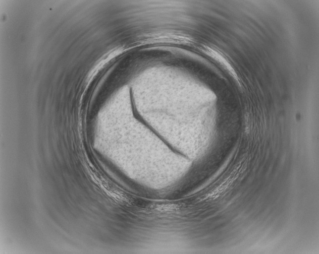 X0000058121043200510171305