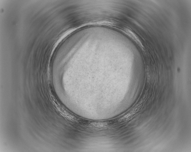 X0000058121044200510171305