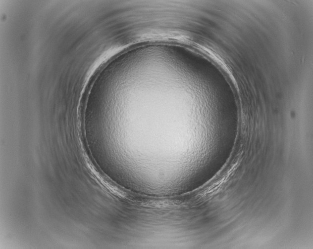 X0000058121045200510171305