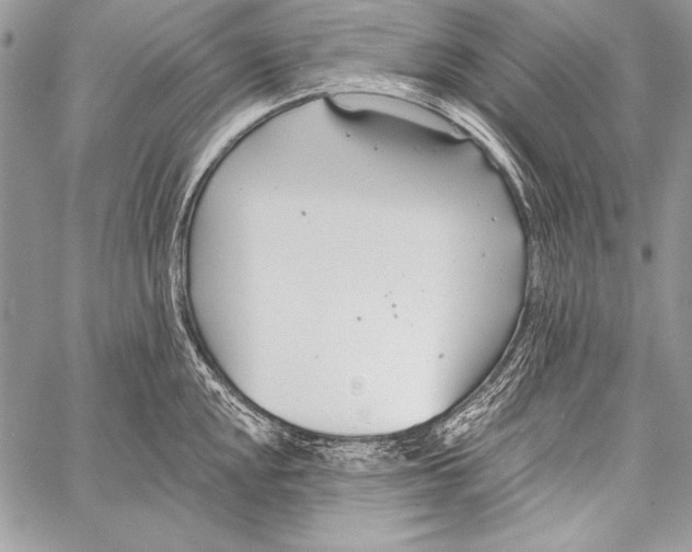 X0000058121048200510171305