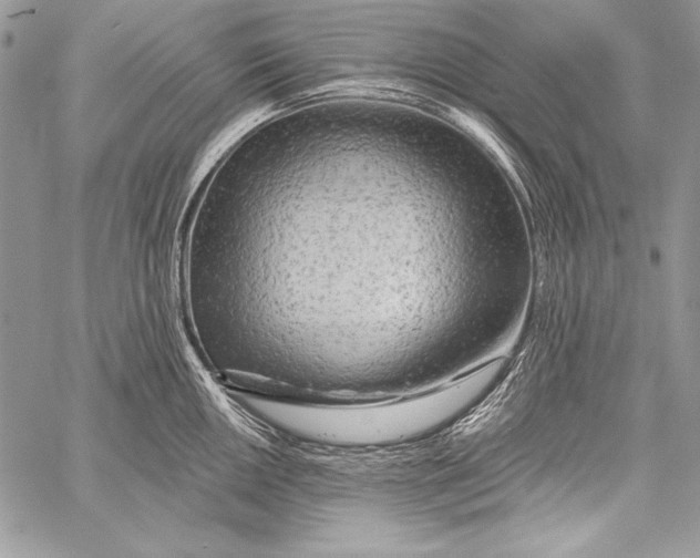 X0000058121050200510171305