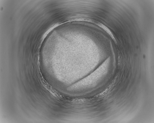 X0000058121051200510171305