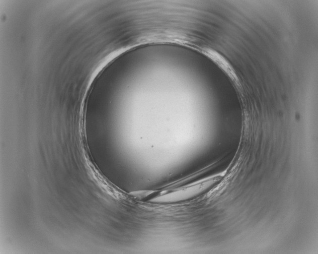 X0000058121052200510171305