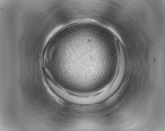 X0000058121054200510171305