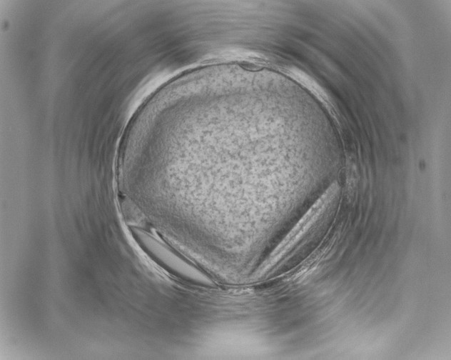 X0000058121055200510171305