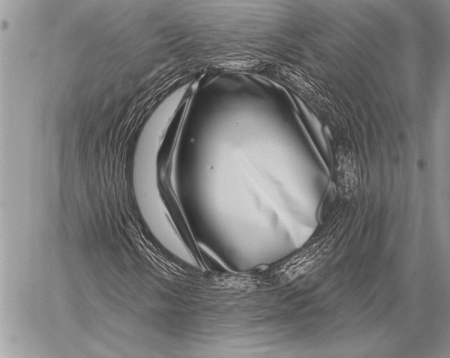 X0000058121058200510171304