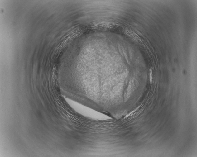 X0000058121059200510171304