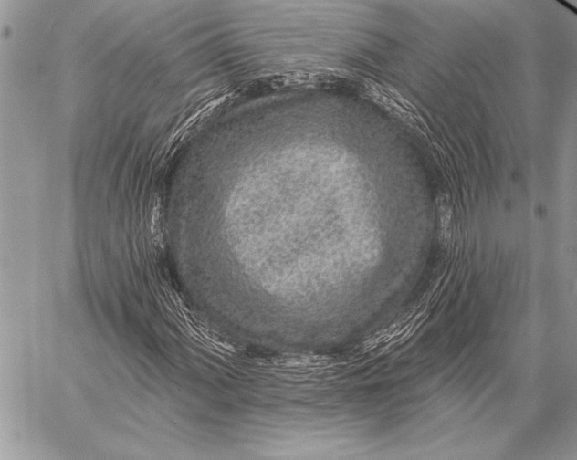 X0000058121060200510171304