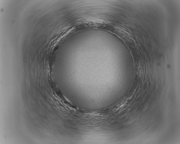 X0000058121061200510171304