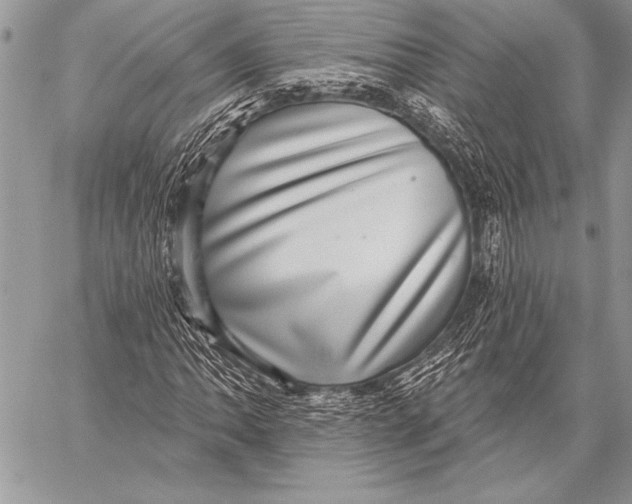 X0000058121062200510171304