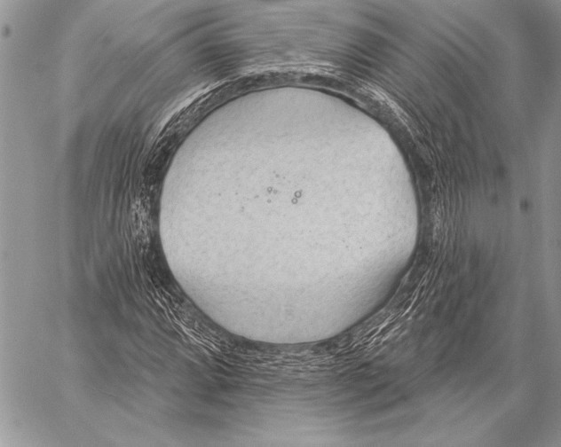 X0000058121064200510171304