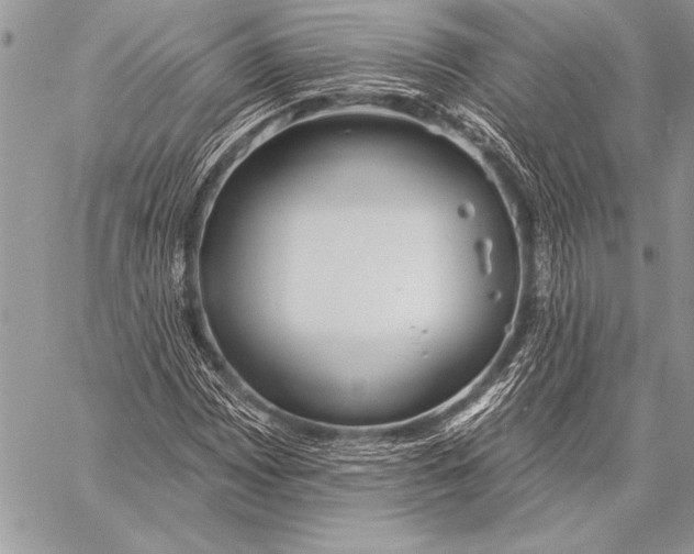 X0000058121065200510171304