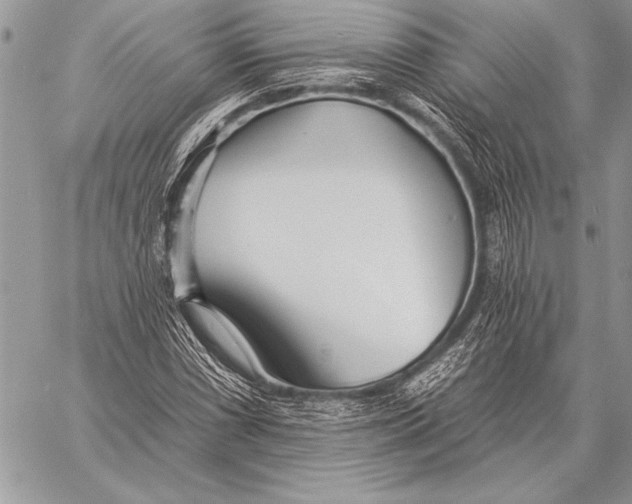 X0000058121066200510171304